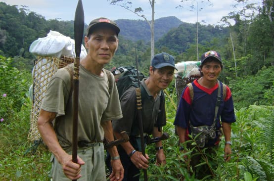 Drei indigene Männer tragen in Körben auf dem Rücken Gepäck durch den malayischen Regenwald.