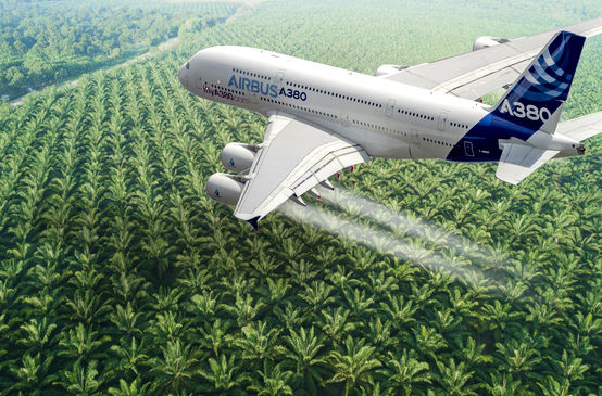 Collage: Airbus Flugzeug über Palmöl Plantage