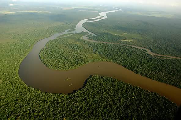 Das spanische Staatsoberhaupt und damaliger WWF-Ehrenpräsident König Juna Carlos posiert mit seiner Jagdflinte vor einem toten Elefanten in Botswana