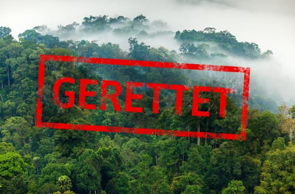 Wunderschöner Regenwald mit Text "GERETTET"