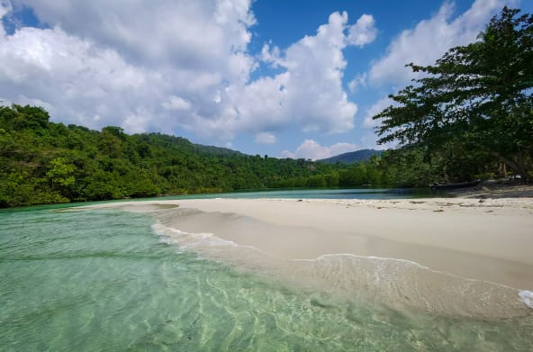 In einer Lagune überspülen Wellen einen Strand, im Hintergrund Wald