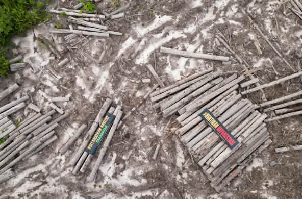 Holzstämme von oben, mit Bannern "Stopp Entwaldung", "Rettet Orang-Utan-Habitat"