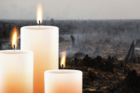 Kerzen vor Brandrodung Lanschaft