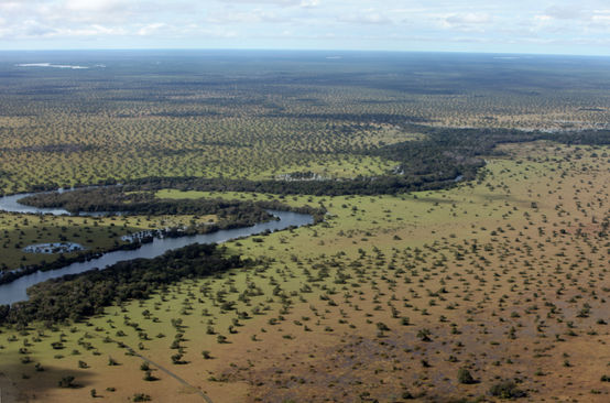Landschaft aus der Vogelperspektive mit Wald und Fluss