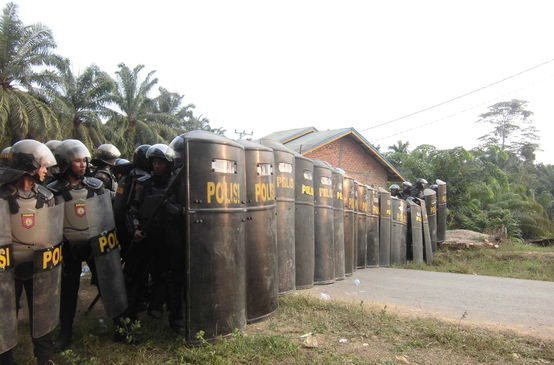 Indonesien: Polizei sichert Ölpalmplantage