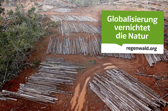 Collage - Aufkleber Globalierung & Abholzung Papua