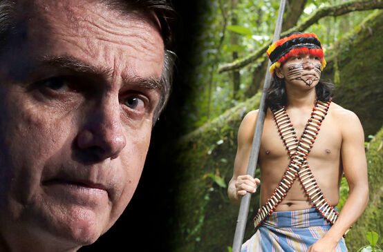 Collage - Bolsonaro vs Indigene