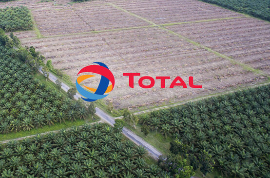 Palmöl Plantagen in Süd-Sulawesi, Indonesien + Logo Total