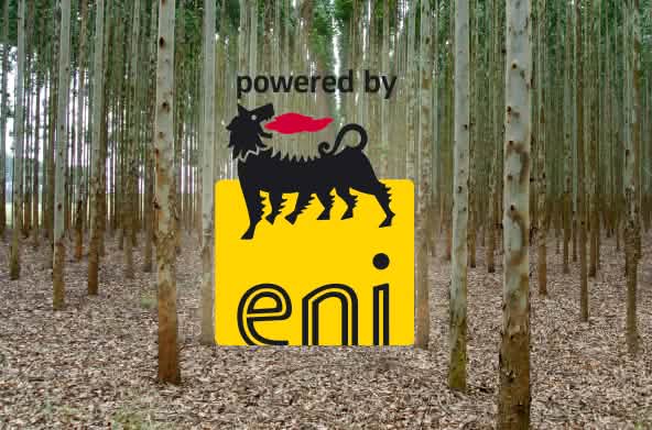 Collage : Eukalyptus-Plantage mit Eni-Logo