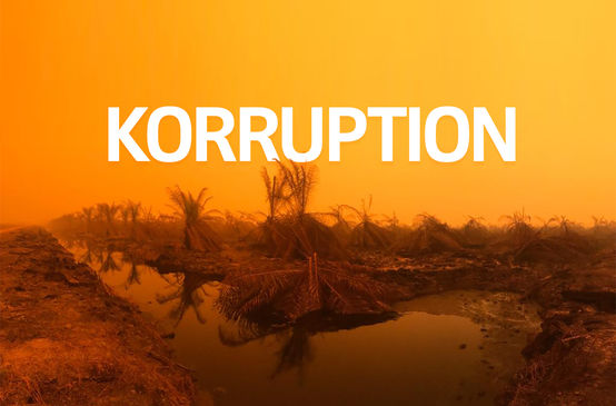 Brände in Sumatra + Text KORRUPTION