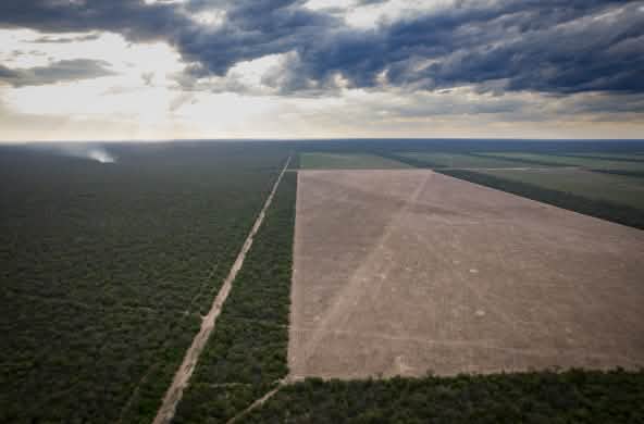 Luftaufnahme eines abgeholzten Gebietes in der Provinz Chaco, Argentinien