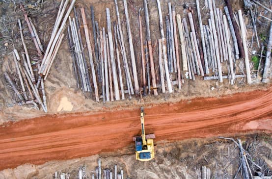 Luftbild: Bagger auf Rodung für Palmölplantage der Firma Korindo in Papua