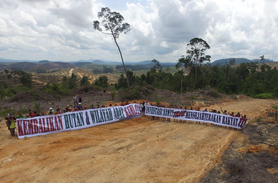 Proteste gegen Palmöl im Regenwald von Borneo