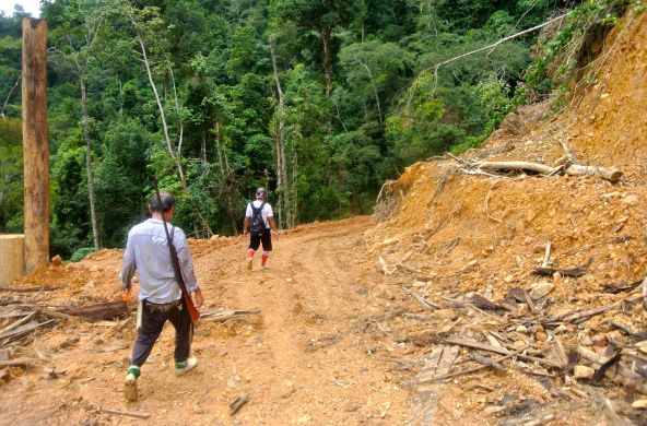 Illegale Rodung in Sarawak/Malaysia