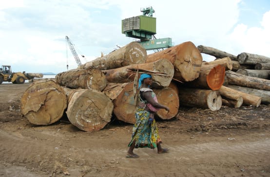 Holz im Hafen von Kinshasa