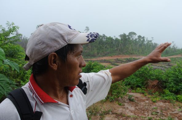 Ein Kleinbauer zeigt eine frische Rodungsfläche im Amazonaswald