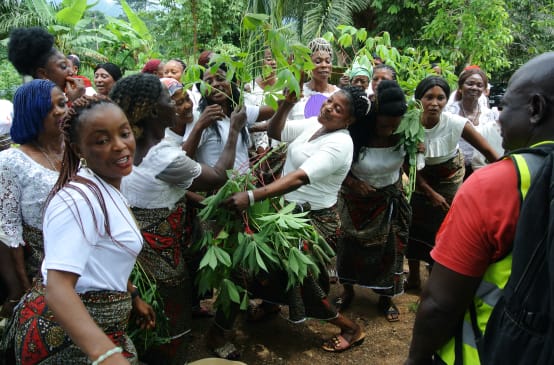 Frauen feiern das Kassava-Fest, Nigeria