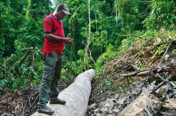 Protest der Ekuri schlägt weltweit Wellen
