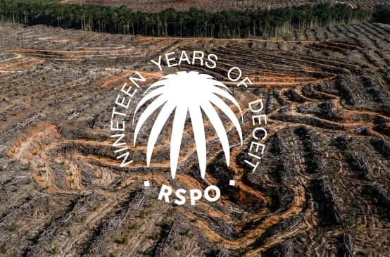 Collage mit RSPO Siegel auf einer abgeholzten Regenwaldfläche darauf steht ninteen years of deceit