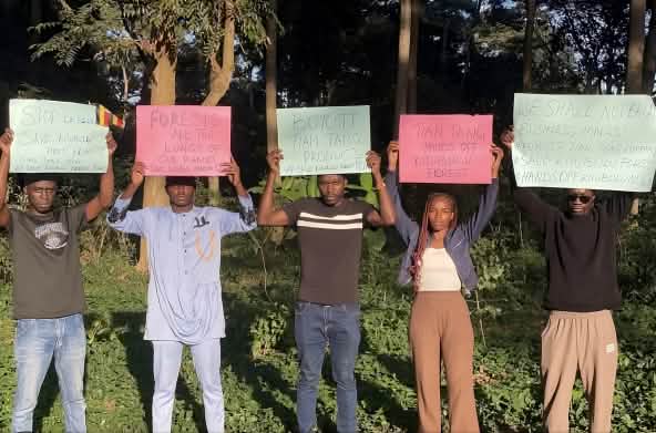 Fünf Demonstranten halten Plakate hoch, auf denen der Schutz des Kitubulu-Wald gefordert wird.