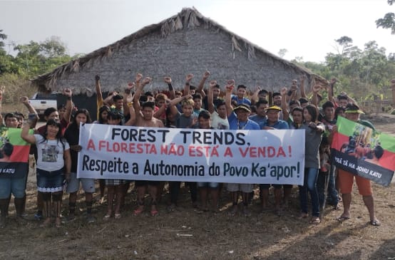 Eine Gruppe von Indigenen protestiert mit Bannern vor einer mit Palmenwedeln überdachten Hütte