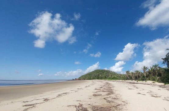 Tropischer Strand mit Palmen auf der Insel Cajual