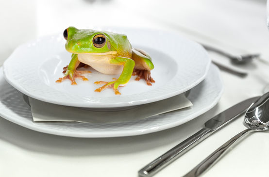 Frosch auf dem Teller