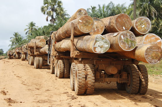 Mit Baumstämmen beladene Lastwagen in Liberia