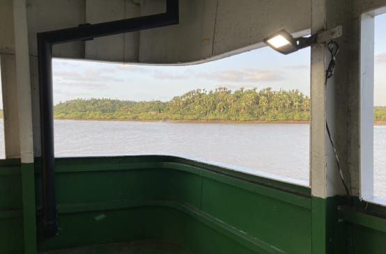 Blick von einem Schiffsdeck über das Wasser auf mit Palmen bestandenes Land im Hintergrund