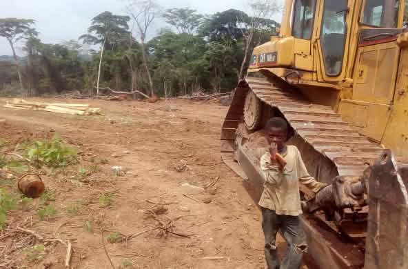 Ein kleiner Junge steht neben einem Bulldozer auf einer bereits gerodeten Fläche im Regenwald