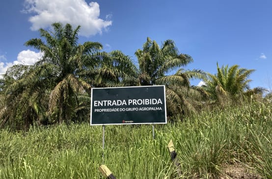 Hinweisschild des Palmölkonzerns Agropalma am Rande einer Ölpalmplantage