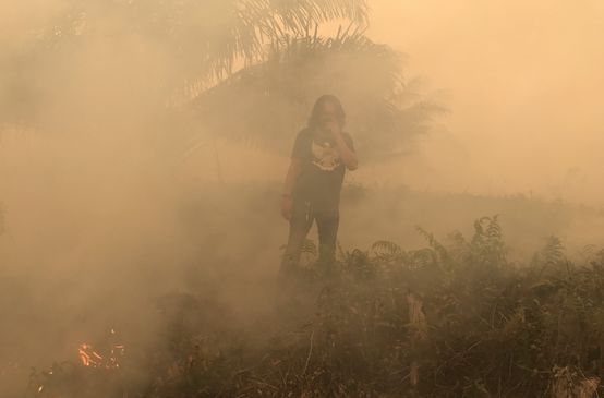Brände beim Dorf Puding, Distrikt Muaro Jambi, Sumatra, September 2019