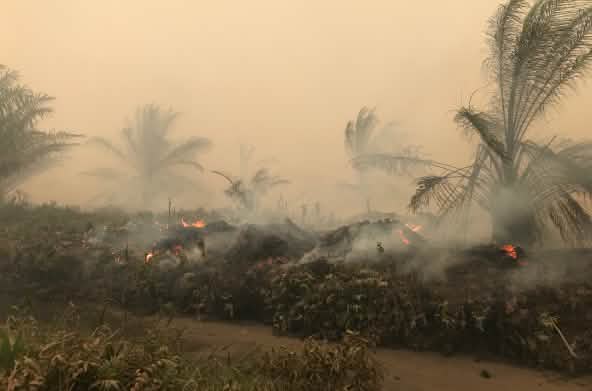 Brände beim Dorf Puding, Distrikt Muaro Jambi, Sumatra, September 2019