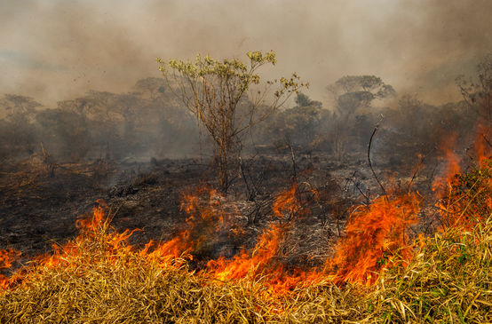 Waldbrand in Brasilien