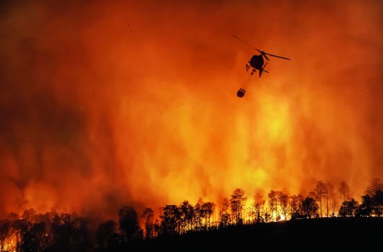 Waldbrand