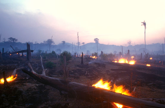 Brandrodung in Brasilien