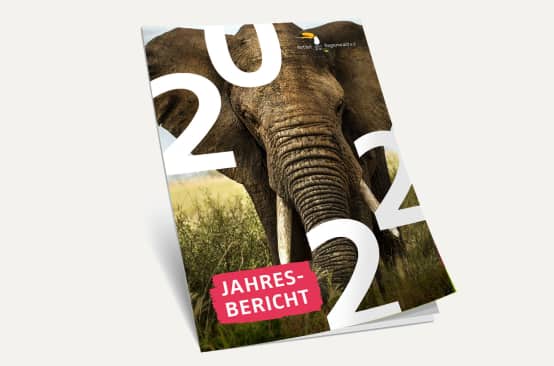 3D-Ansicht des Covers vom Jahresbericht 2022
