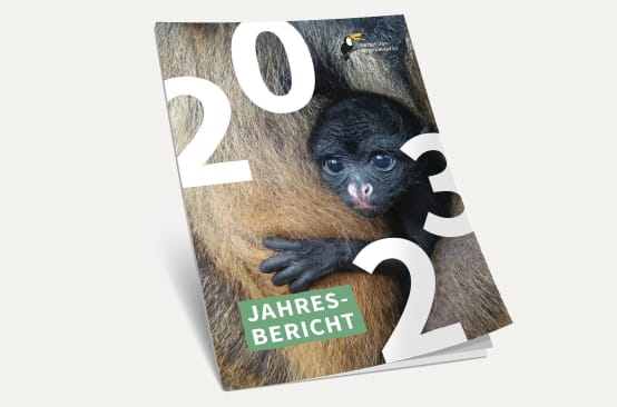 3D-Ansicht des Covers vom Jahresbericht 2023