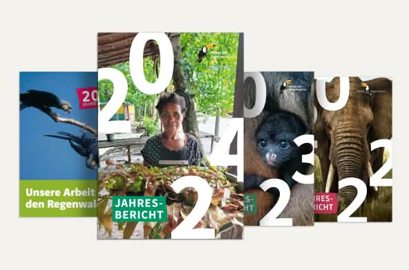 Jahresberichte Collage 2021 bis 2024 - DE