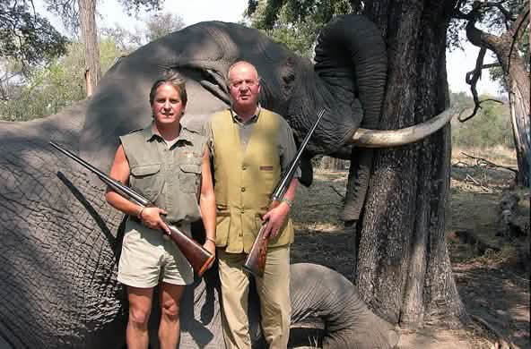Das spanische Staatsoberhaupt und damaliger WWF-Ehrenpräsident König Juna Carlos posiert mit seiner Jagdflinte vor einem toten Elefanten in Botswana