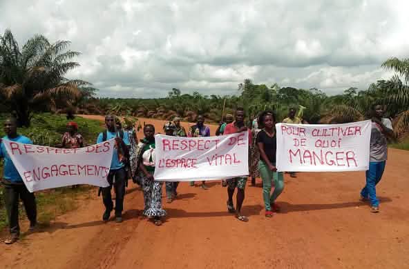 Demonstration gegen die Palmöl-Firma Socfin in Kamerun