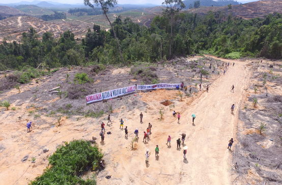 Proteste gegen Palmölplantage in Indonesien abgeholzte Fäche riesiges Transparent der Bewohner