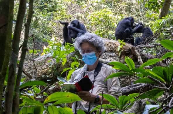 Prof. Dr. Barbara Fruth von Bonobo Alive