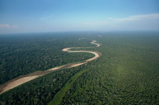 Luftaufnahmen von einem Fluss, der sich durch unberührten Regenwald im Tiefland von Bolivien schlängelt