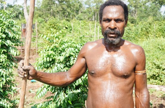 Papua vom Gebze-Clan aus Merauke - Konflikt mit Papierkonzern Moorim