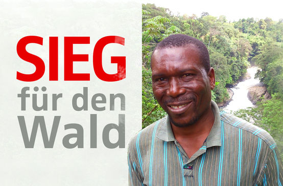 Nasako Besingi frei - Sieg für den Wald
