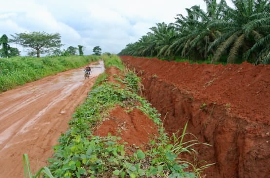 Graben um die Palmölplantage von Okomu Oil Palm in Nigeria