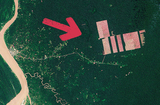 Peru Abholzung Tamshiaycu