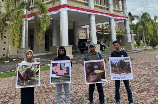 Vier Aktivisten mit Plakaten vor einem Gebäude mit Säulen