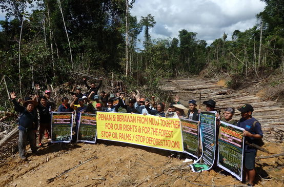 Indigene Penan und Berawan protestieren gegen die Rodung des Mulu-Waldes, Sarawak, Malaysia